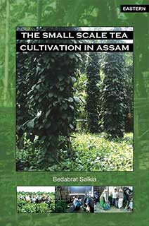 The Small Scale Tea Cultivation in Assam