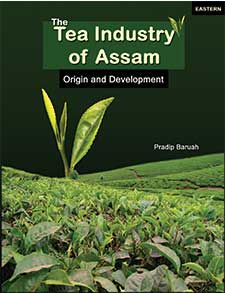 Tea Industry of Assam
